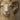 Close-up of the sheep's face with amber eyes and a spiral horn. Curlers & Composure